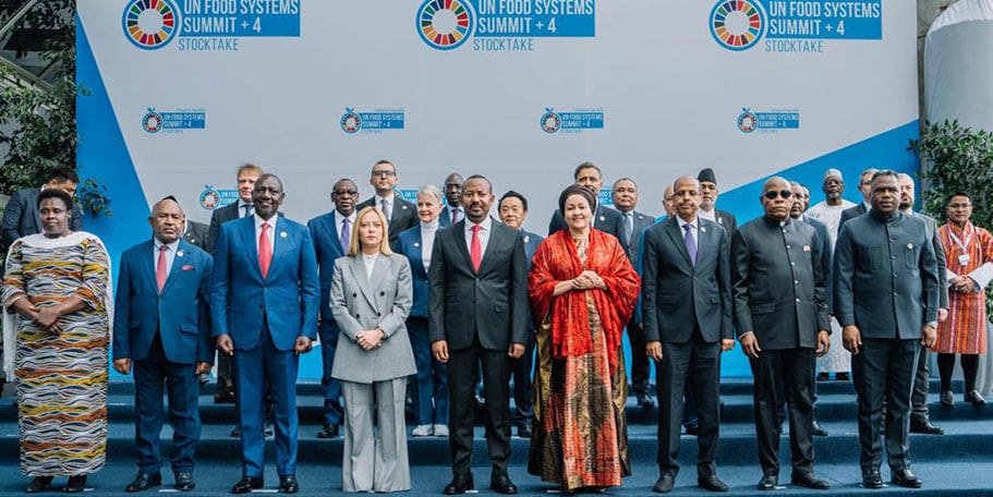 ‘Excessive Optimism’ around UN Food Summit Omits Ethiopia’s Glaring Nutrition Deficits: Experts