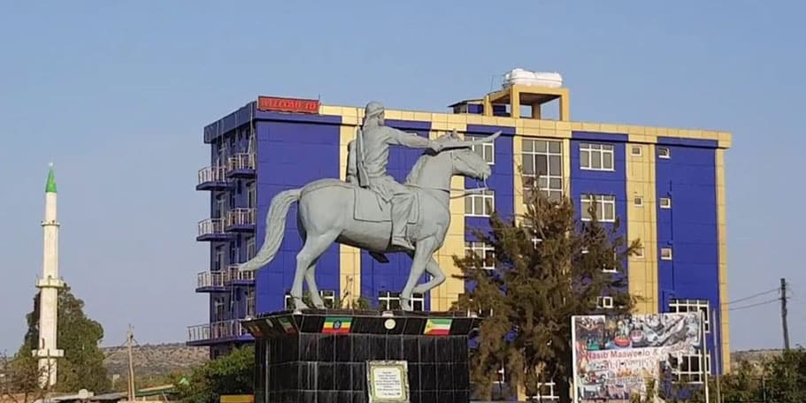 Petitioners Turn to PM over ‘Collapse of Governance’ in Somali Region