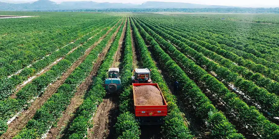 Beyond the Fertile Crescent: Ethiopia’s Forgotten Cradle of Farming