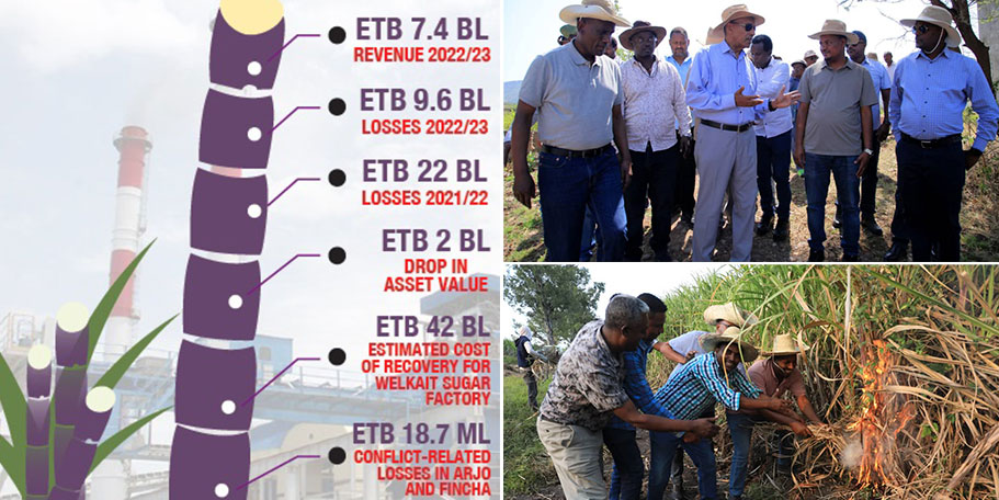 Belated Financial Report Unravels Scope of Sugar Industry Group’s Woes