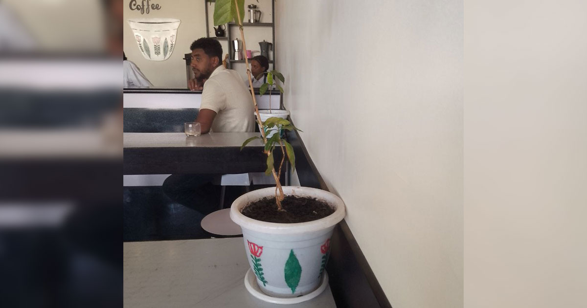 At Hirmata Coffee, Jimma’s old market spirit finds new life