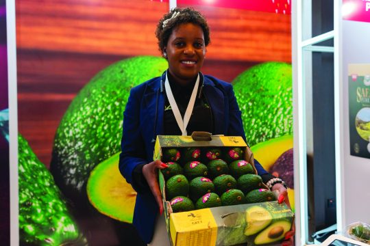 Trade links to benefit from market access