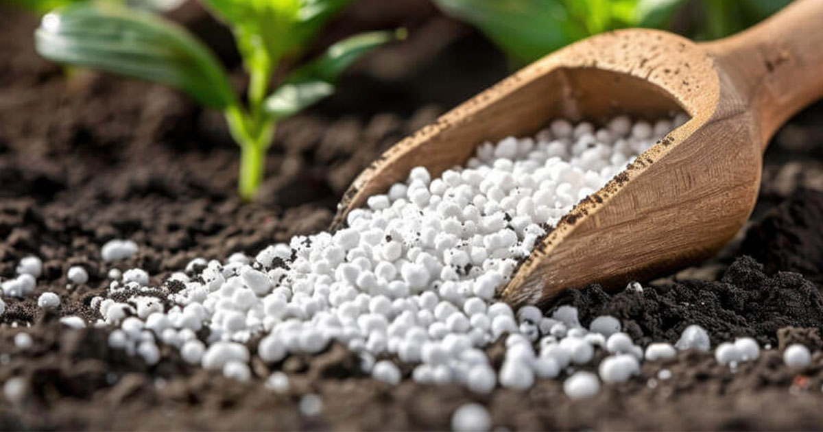 Fertilizer Supply Concerns Headline AU Report on Iran War’s Consequences for Africa