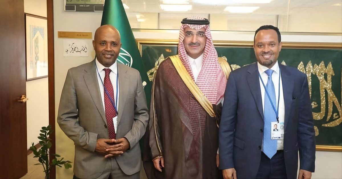 Bondholder, Commercial Creditor Deals Remain Out of Reach in Ethiopia Debt Saga